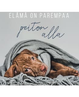 LINNAPAPERI MTFM 89 MAGNEETTI Main Image