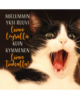 LINNAPAPERI MTFM 100 MAGNEETTI Main Image