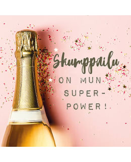 LINNAPAPERI MTFM-103 MAGNEETTI Main Image