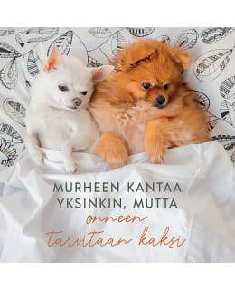 LINNAPAPERI MTFM 109 MAGNEETTI Main Image