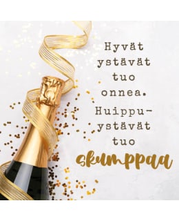 LINNAPAPERI MTFM 113 MAGNEETTI Main Image