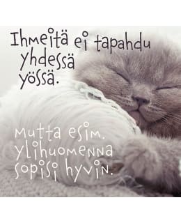 LINNAPAPERI MTFM 119 MAGNEETTI Main Image