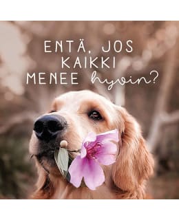 LINNAPAPERI MTFM 121 MAGNEETTI Main Image