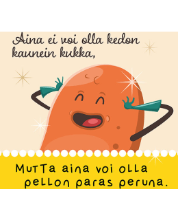 LINNAPAPERI MTFM 124 MAGNEETTI Main Image