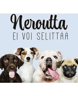 LINNAPAPERI MTFM 125 MAGNEETTI Main Image