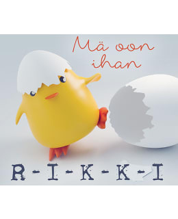 LINNAPAPERI MTFM 142 MAGNEETTI Main Image