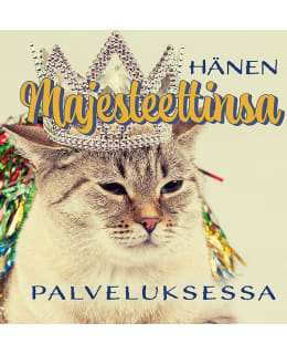 LINNAPAPERI MTFM 143 MAGNEETTI Main Image