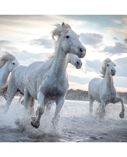 LINNAPAPERI MTFM 149 MAGNEETTI Main Image