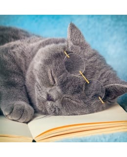 LINNAPAPERI MTFM 151 MAGNEETTI Main Image