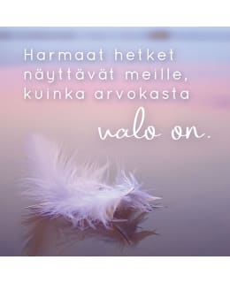 LINNAPAPERI MTFM 165 MAGNEETTI Main Image