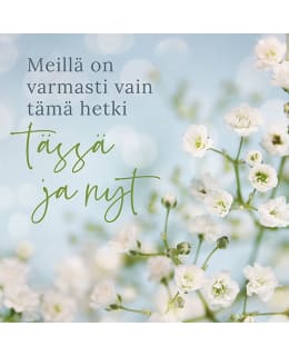 LINNAPAPERI MTFM-173 MAGNEETTI Main Image