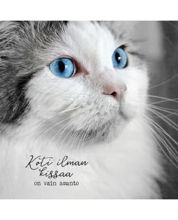 LINNAPAPERI MTFM-178 MAGNEETTI Main Image