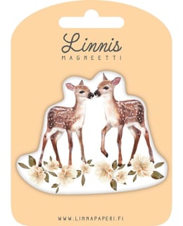 LINNIS LNMT-101 MUOTOMAGNEETTI Main Image