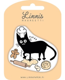 LINNIS LNMT-106 MUOTOMAGNEETTI Main Image