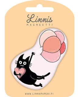 LINNIS LNMT-104 MUOTOMAGNEETTI Main Image