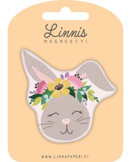 LINNIS LNMT-107 MUOTOMAGNEETTI Main Image