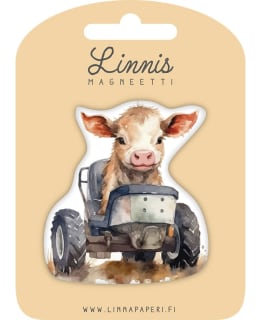 LINNIS LNMT-113 MUOTOMAGNEETTI Main Image