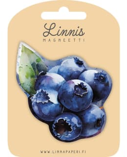 LINNIS LNMT-117 MUOTOMAGNEETTI Main Image