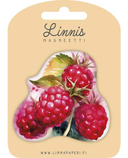 LINNIS LNMT-118 MUOTOMAGNEETTI Main Image