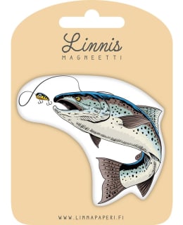 LINNIS LNMT-124 MUOTOMAGNEETTI Main Image