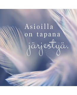 LINNAPAPERI MTFM 185 MAGNET Main Image