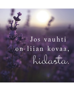 LINNAPAPERI MTFM 186 MAGNEETTI Main Image