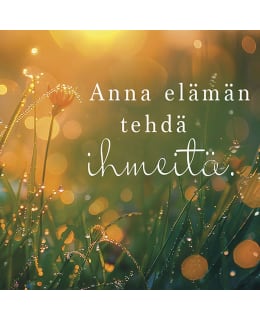 LINNAPAPERI MTFM 187 MAGNEETTI Main Image