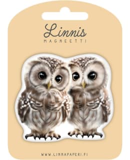 LINNIS LNMT-129 MAGNET Main Image