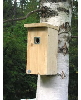 ESVI LINNUNPÖNTTÖ SUOJAPELLILLÄ Main Image