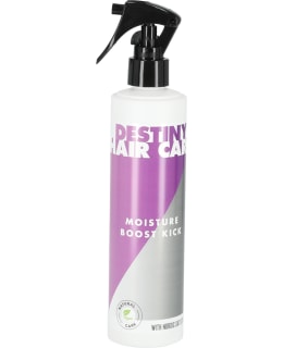 DESTINY MOISTURE BOOST KICK Main Image