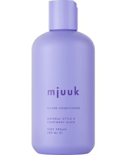 MJUUK SILVER 250ML HOITOAINE Main Image