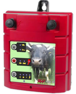 OLLI 122B ELECTRIC SHEPHERD Main Image