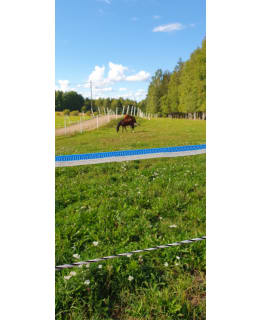 OLLI BLUE-AND-WHITE FENCE TAPE 12MM/200M Main Image