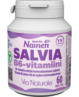 HYVÄN OLON SALVIA B6-VITAMIINI RAVINTL Main Image