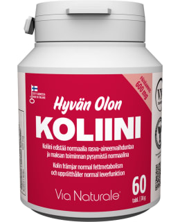HYVÄN OLON KOLIINI  60 KAPS RAVINTOLISÄ Main Image