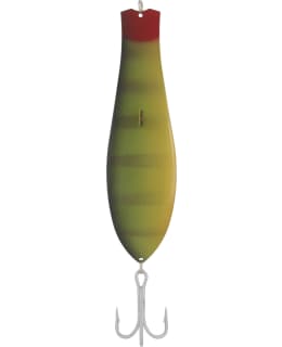 KUUSAMO PROFESSOR 180/60 GR-C UV Main Image