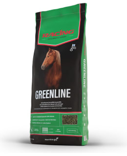 RACING GREENLINE Main Image