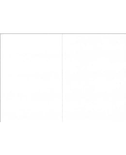 JKP 10KPL 2-OS VALKOINEN HELMIÄISKORTTI Main Image