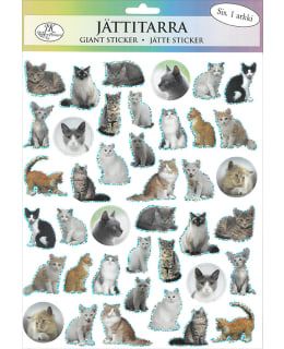 J.K. PRIMECO KISSAT JÄTTITARRA Main Image