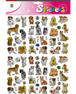 GOLD DRAGON KOIRAT JÄTTITARRA Main Image