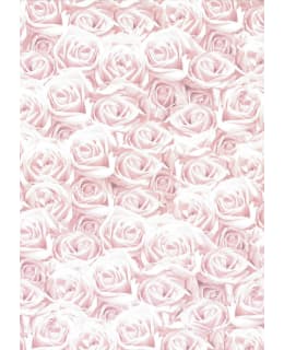 JKP A4/5 RUUSUT V.PUN. DESIGNKARTONKI Main Image