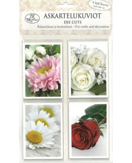 JKP KUKKAKUVAT ASKARTELUKUVIO Main Image