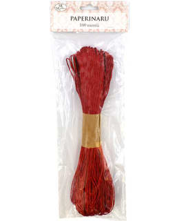 JKP PUNAINEN 100M PAPERINARU Main Image