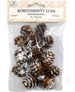 JKP 12KPL LUMI KORISTEKÄVYT Main Image