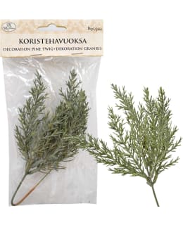 JKP KORISTEHAVUOKSA Main Image