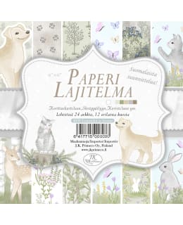 JKP LUONTO 6X6 PAPERILAJITELMA Main Image