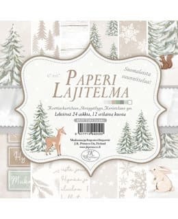 JKP TALVI LUONTO PAPERILAJITELMA Main Image