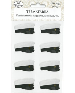 JKP 4200 YLIOPPILAS 8KPL/PKT TEEMATARRA Main Image