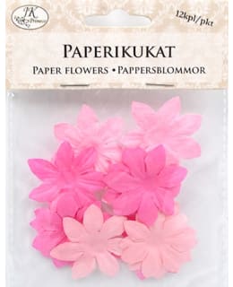 JKP ISO PINKKI PAPERIKUKKA Main Image