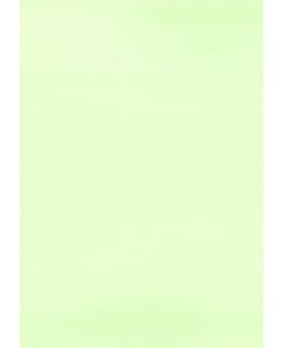 JKP A4/10 VAALEANVIHREÄ KARTONKI Main Image